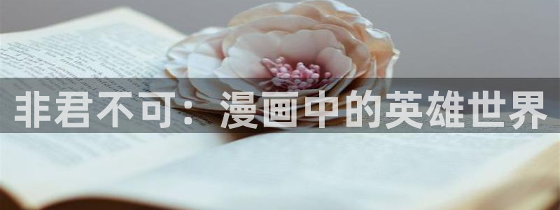 拷贝漫画无广告版：非君不可：漫画中的英雄世界