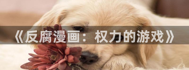 拷贝漫画下载网页：《反腐漫画：权力的游戏》