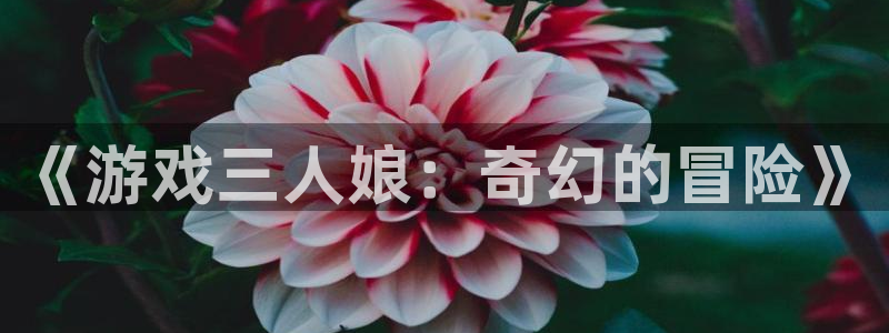 《游戏三人娘：奇幻的冒险》