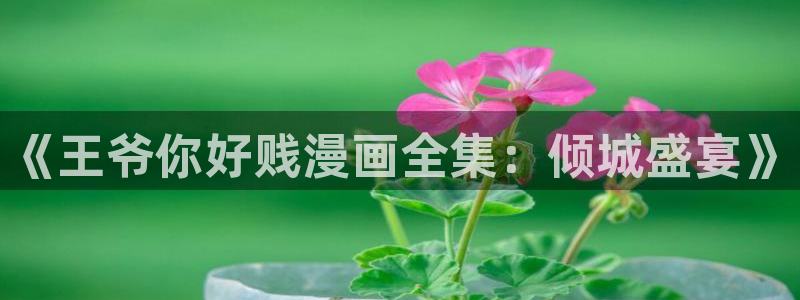 蛙拷贝漫画：《王爷你好贱漫画全集：倾城盛宴》